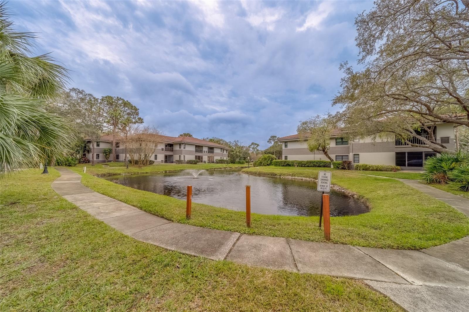 Image 34 of 40 For 2650 Countryside Boulevard F209