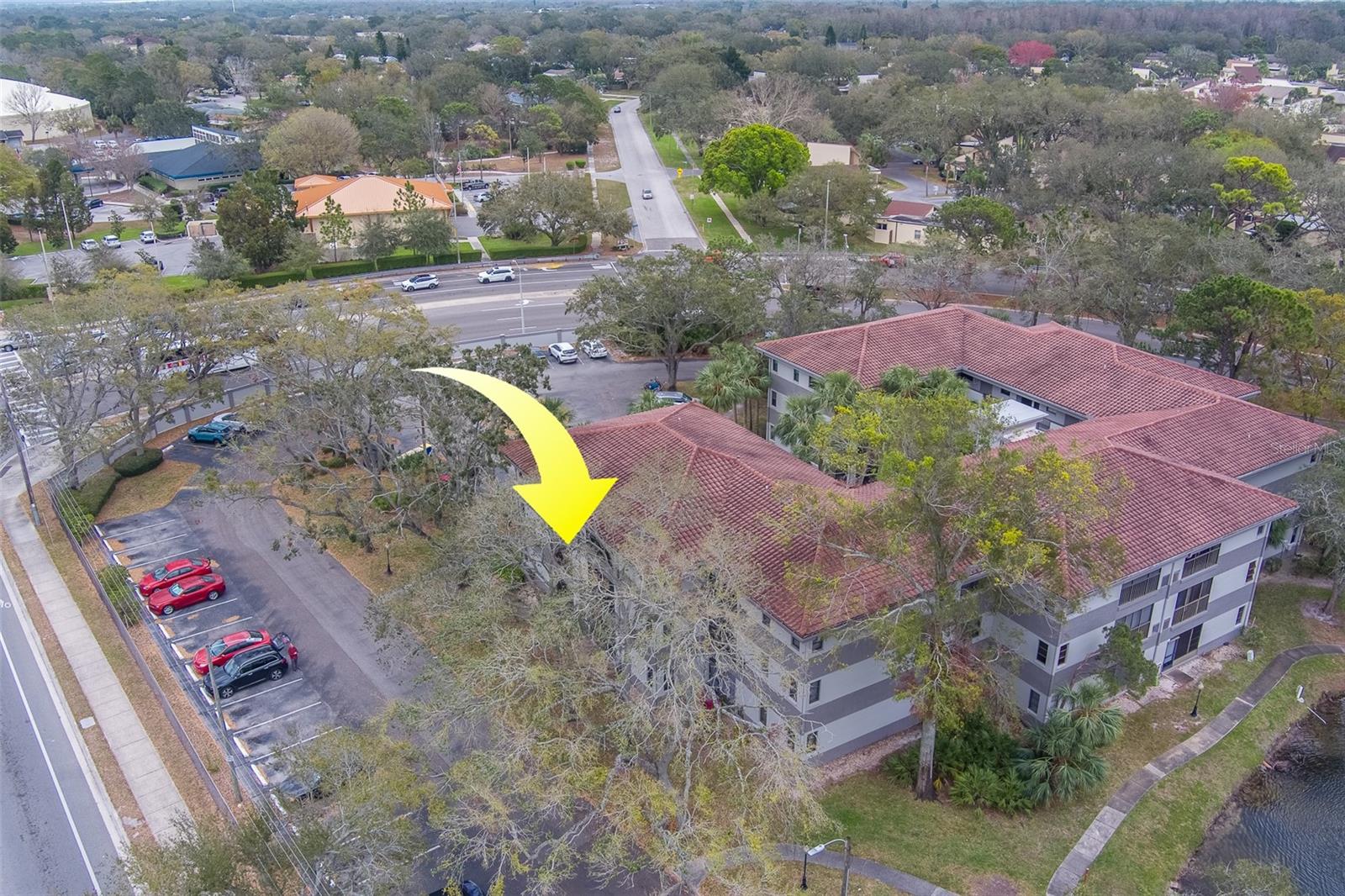 Image 36 of 40 For 2650 Countryside Boulevard F209