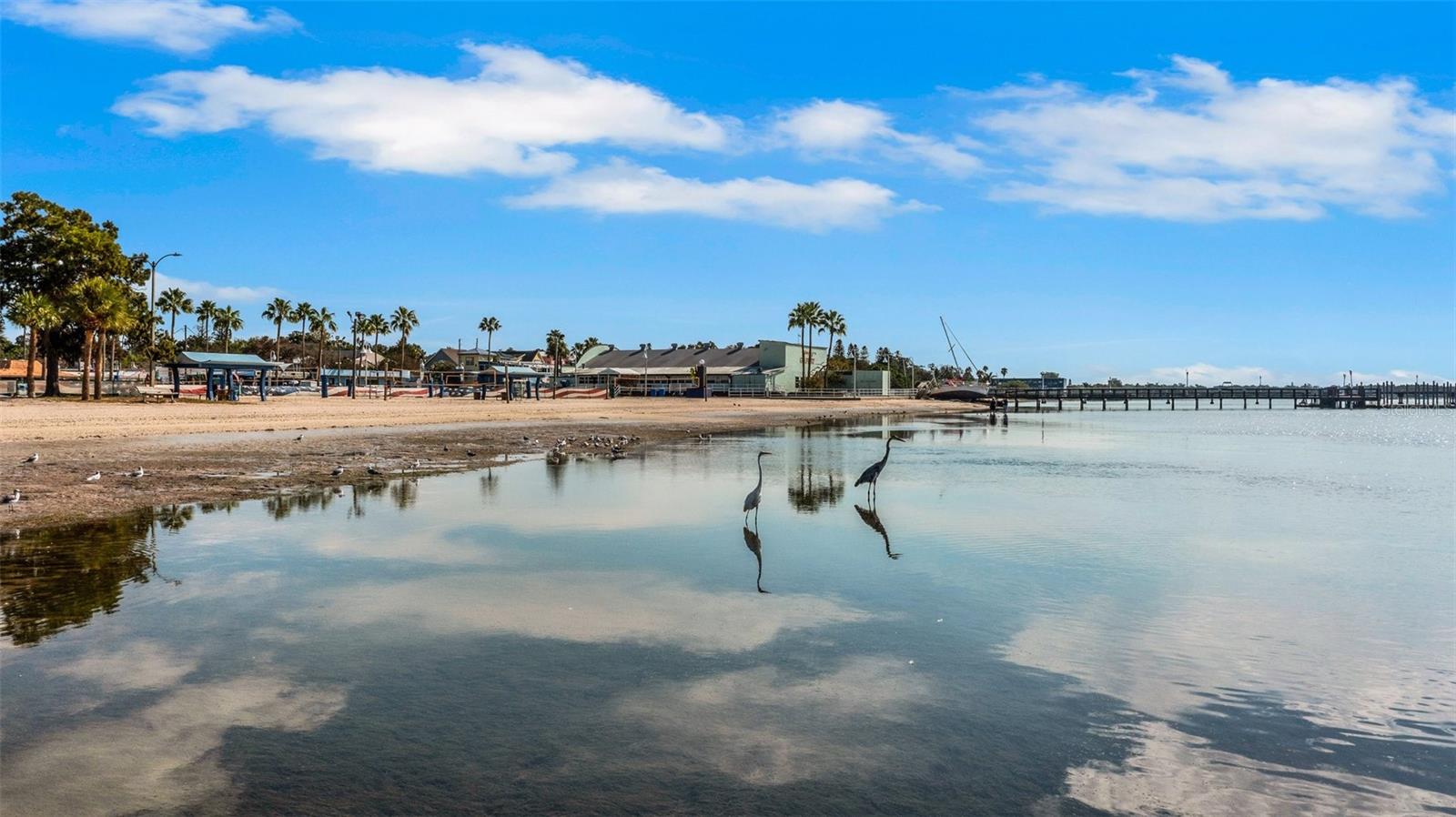 Listing photo id 27 for 3026 51st Street S