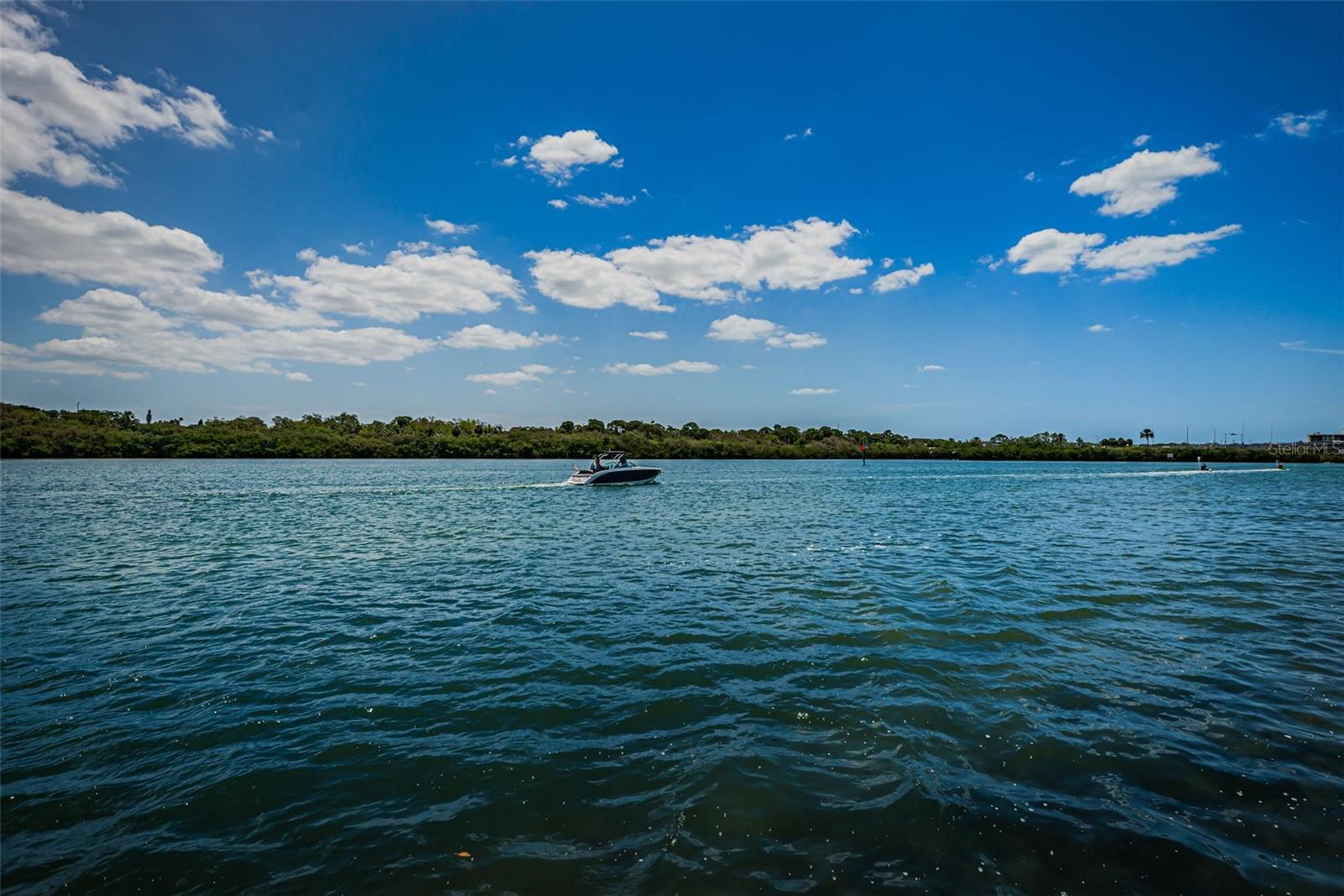 Listing photo id 90 for 1 Windrush Boulevard 31