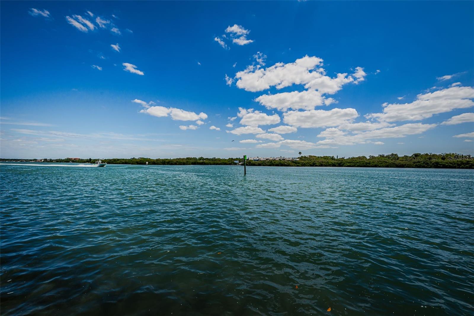 Listing photo id 91 for 1 Windrush Boulevard 31