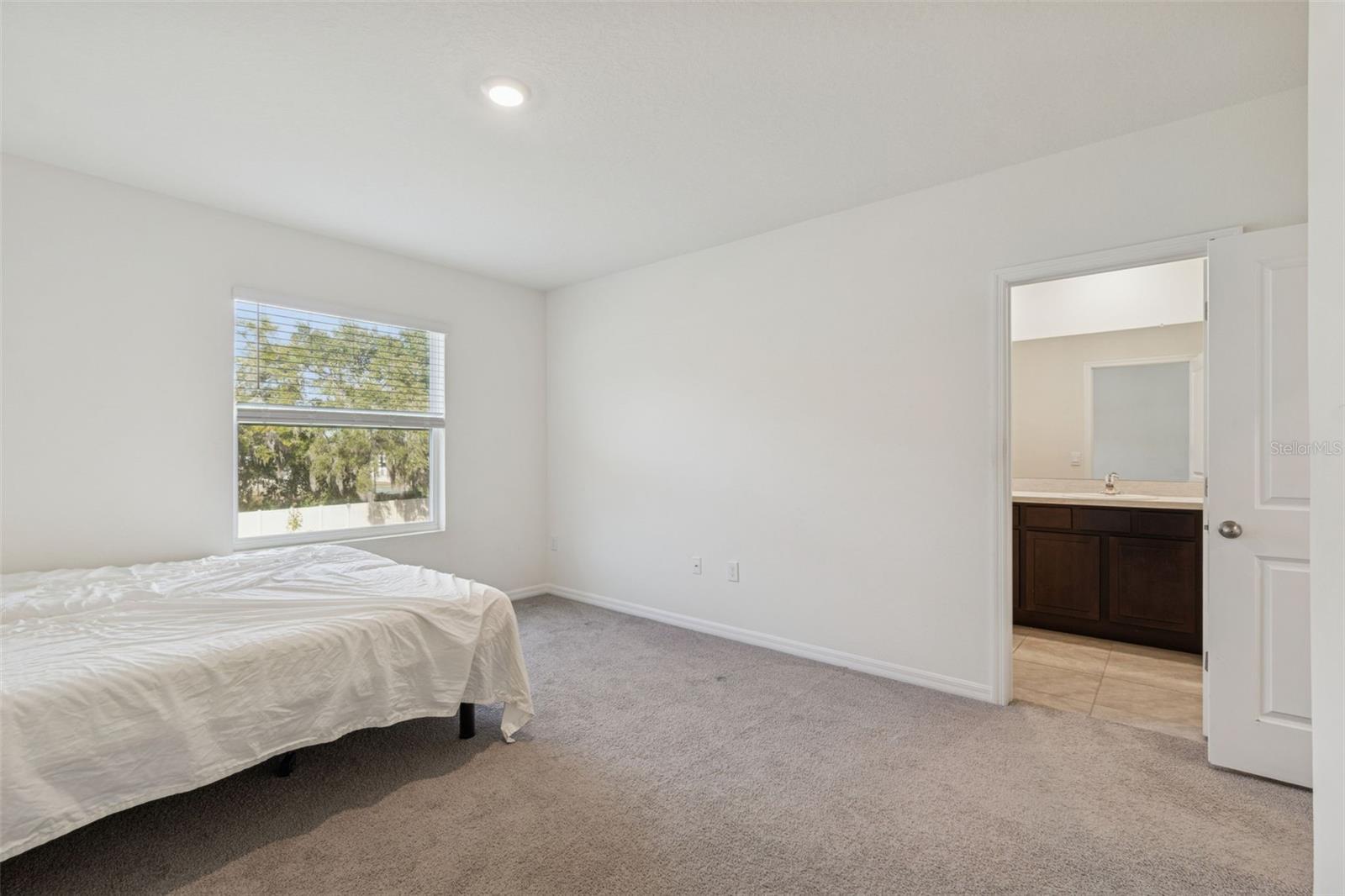 Image 39 of 63 For 34267 Sorrel Mint Drive