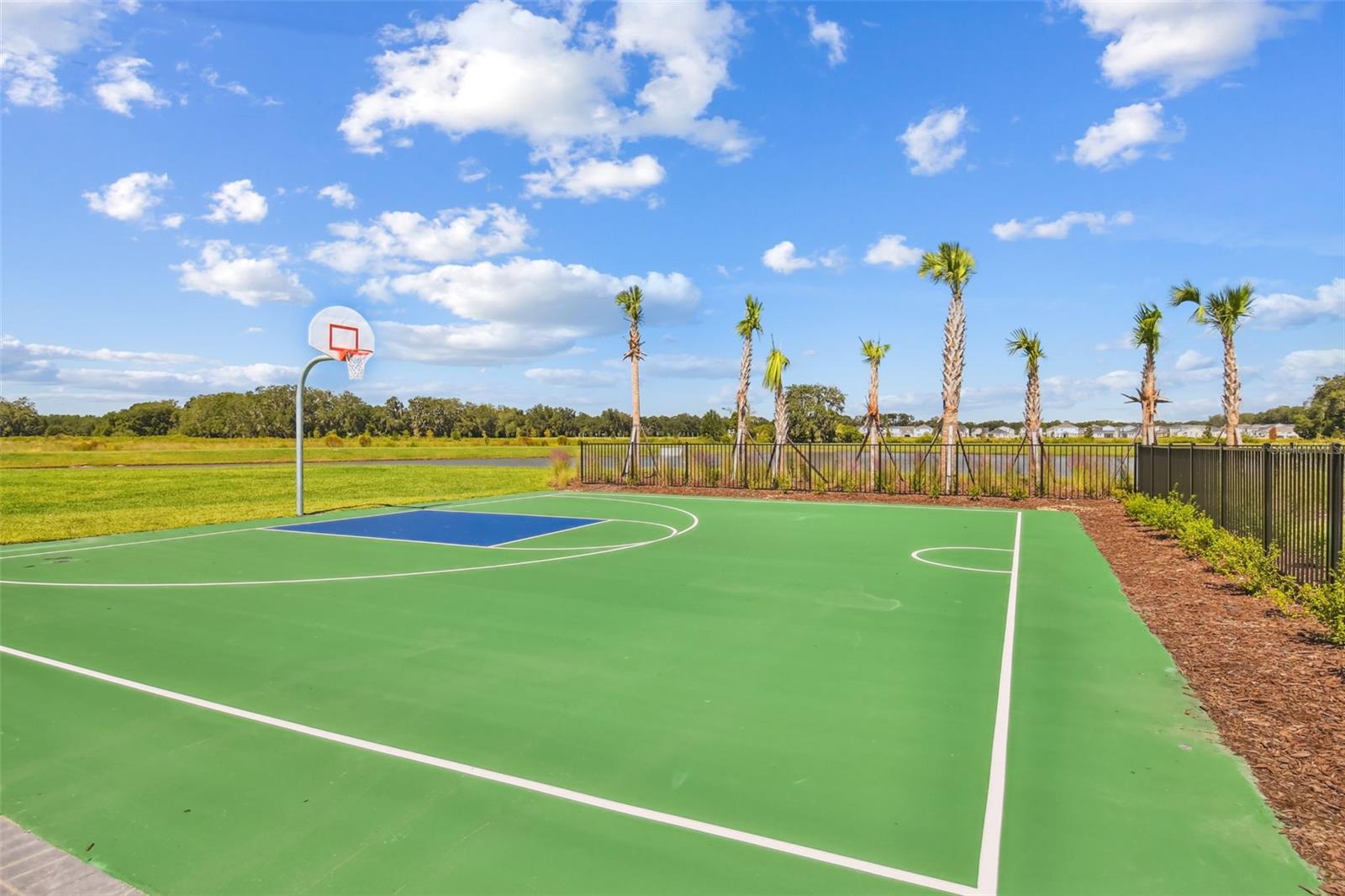 Image 63 of 63 For 34267 Sorrel Mint Drive