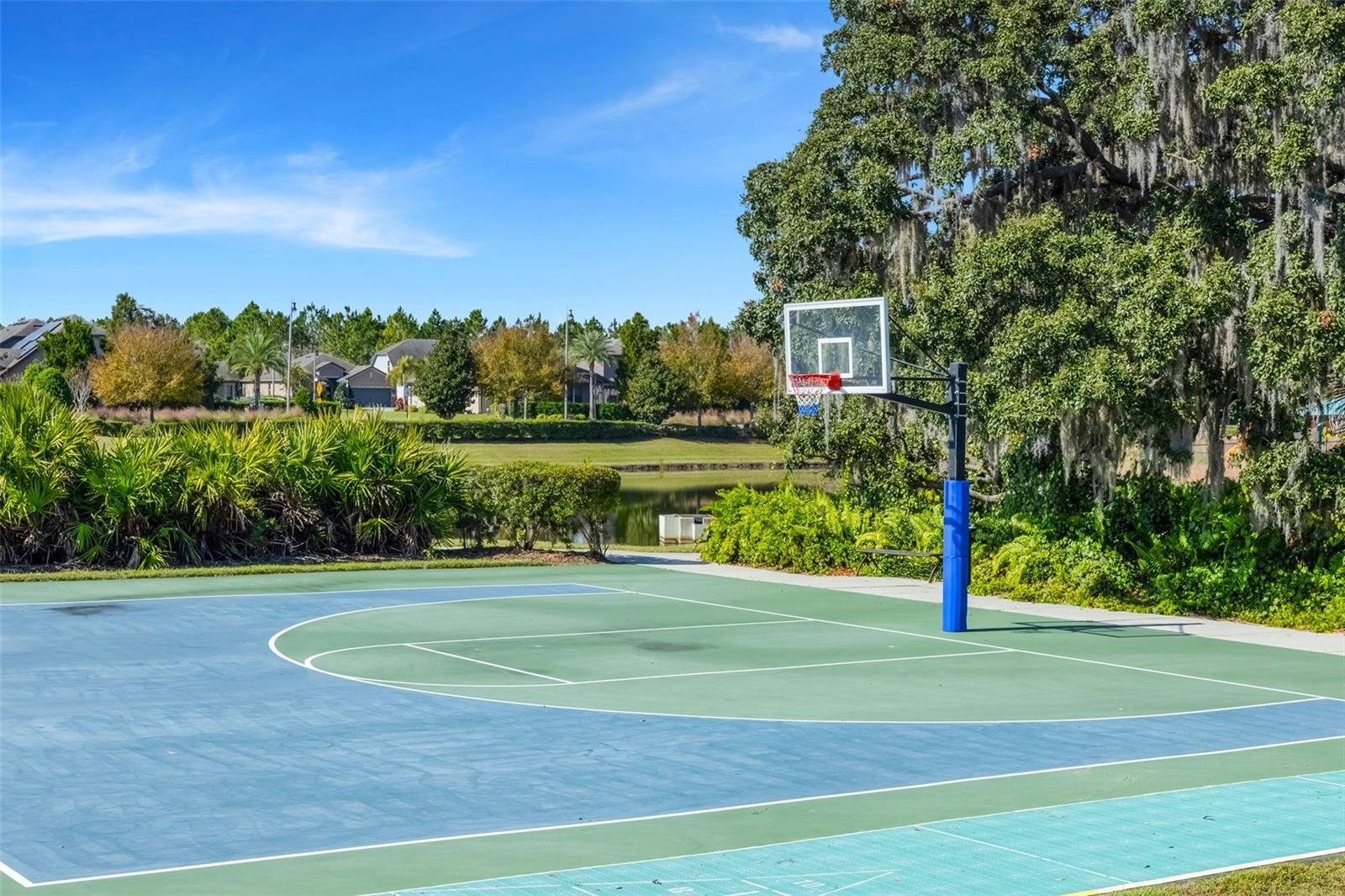 Image 49 of 62 For 337 Alicante Court