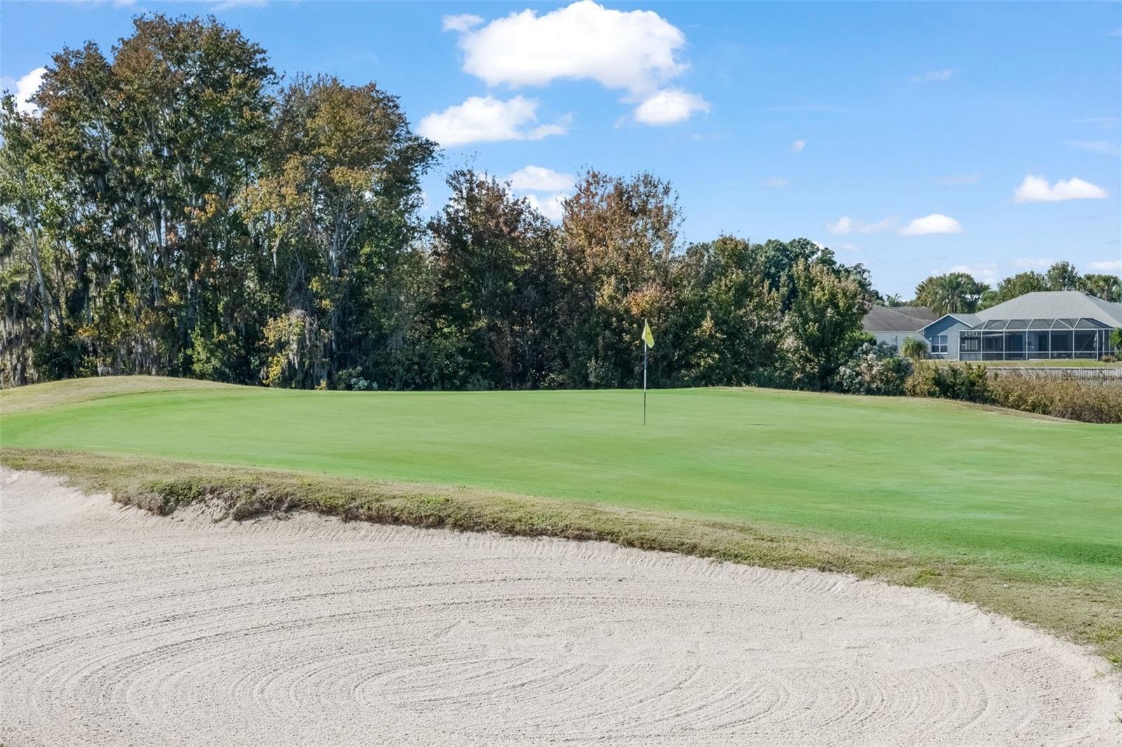 Image 51 of 62 For 337 Alicante Court