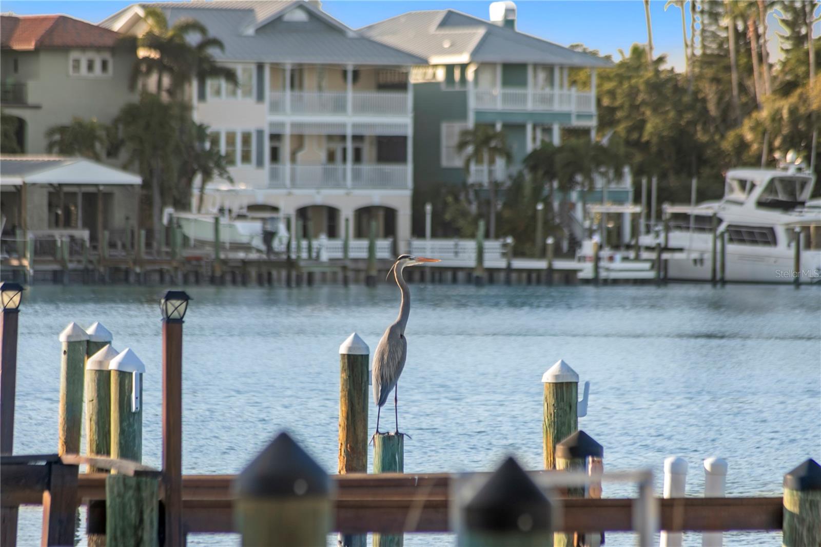 Image 38 of 47 For 253 Hermosita Drive