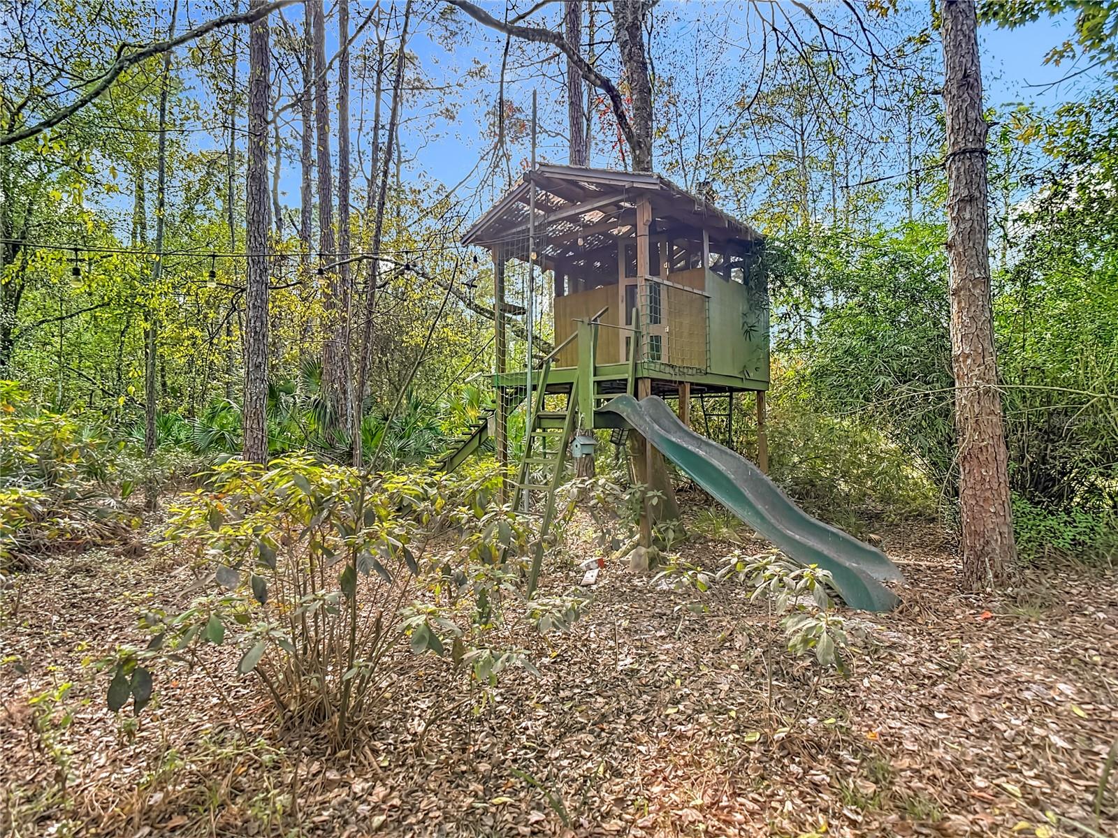 Image 49 of 51 For 27226 Black Hawk Drive