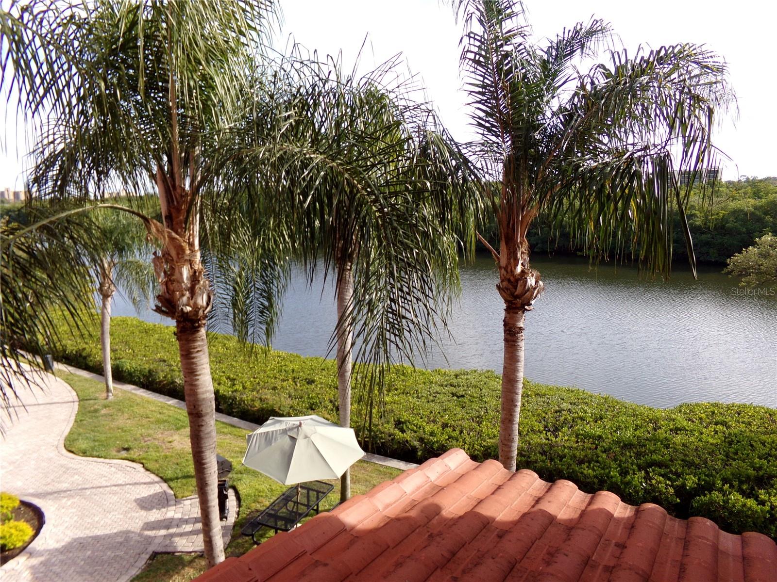 Image 43 of 72 For 2713 Via Murano 239