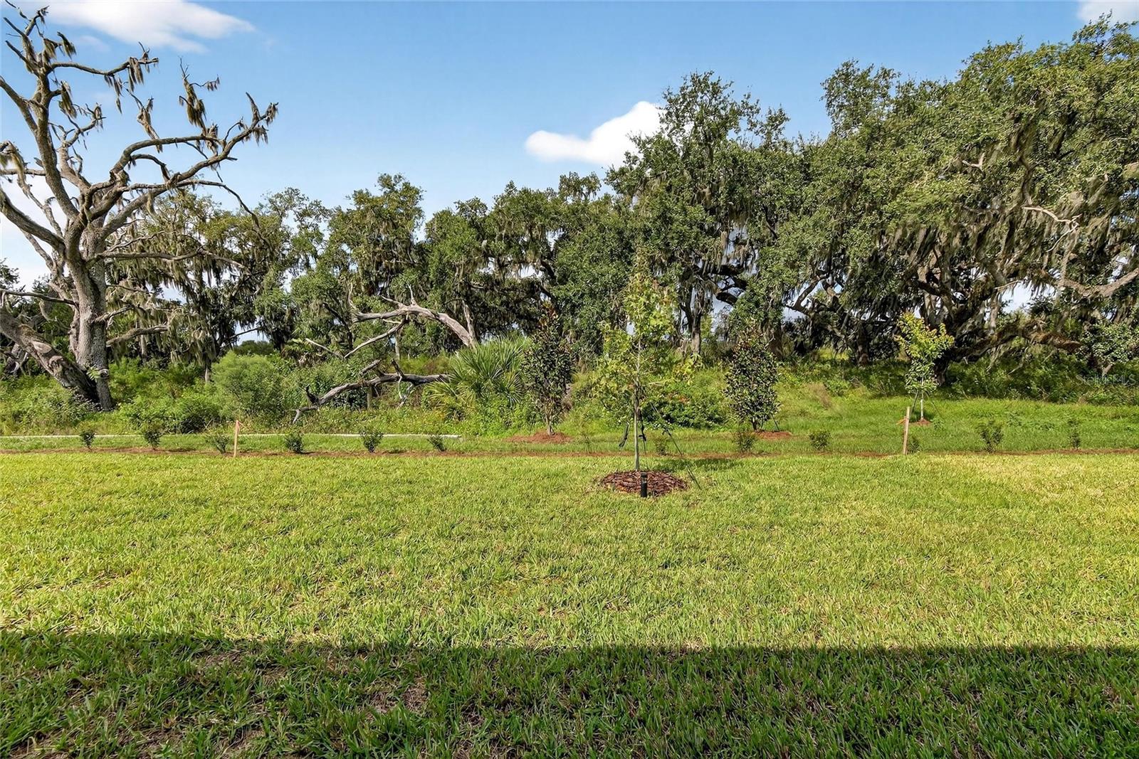 Image 43 of 75 For 4027 Westwood Fields Loop