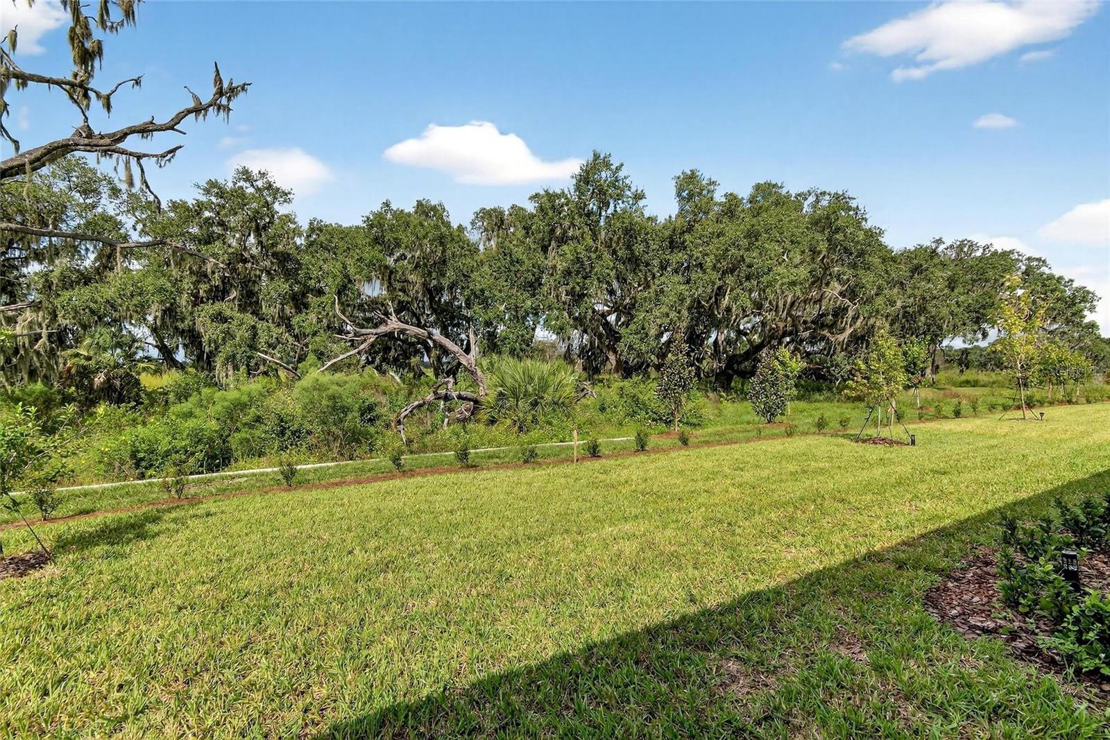 Image 47 of 75 For 4027 Westwood Fields Loop