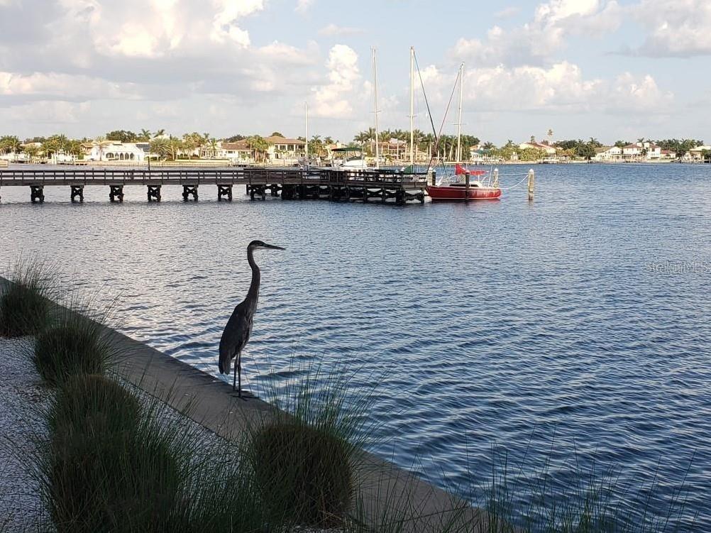 Image 33 of 64 For 5200 Brittany Drive S 407