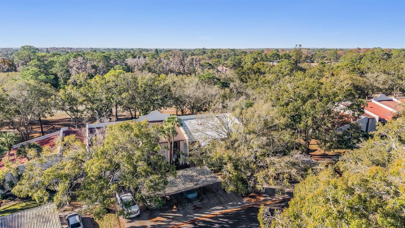 Listing photo id 9 for 3505 Tarpon Woods Boulevard G407