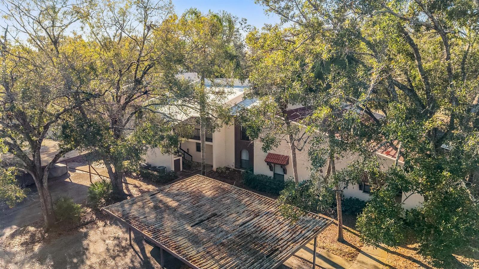 Listing photo id 13 for 3505 Tarpon Woods Boulevard G407