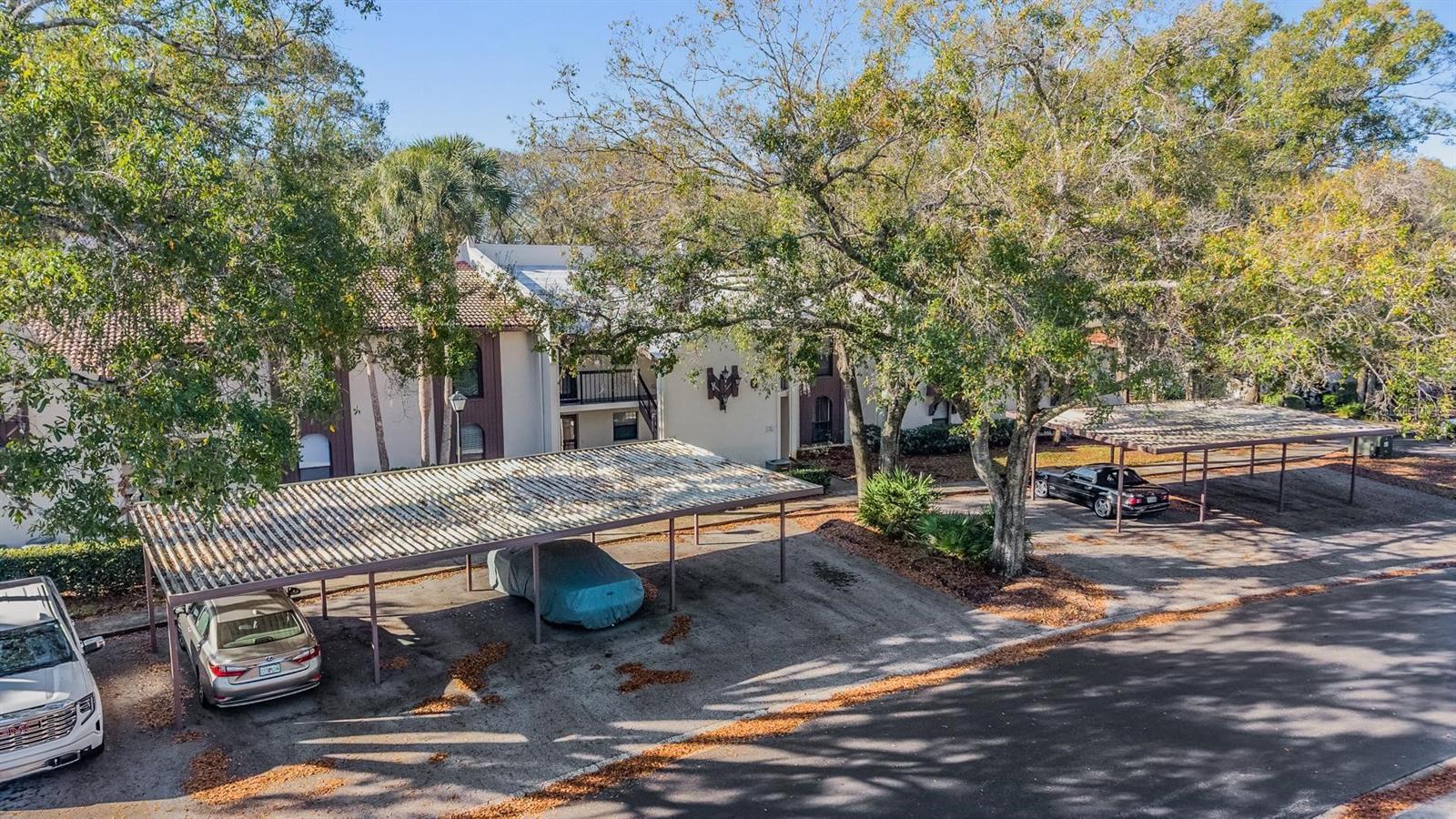 Listing photo id 1 for 3505 Tarpon Woods Boulevard G407