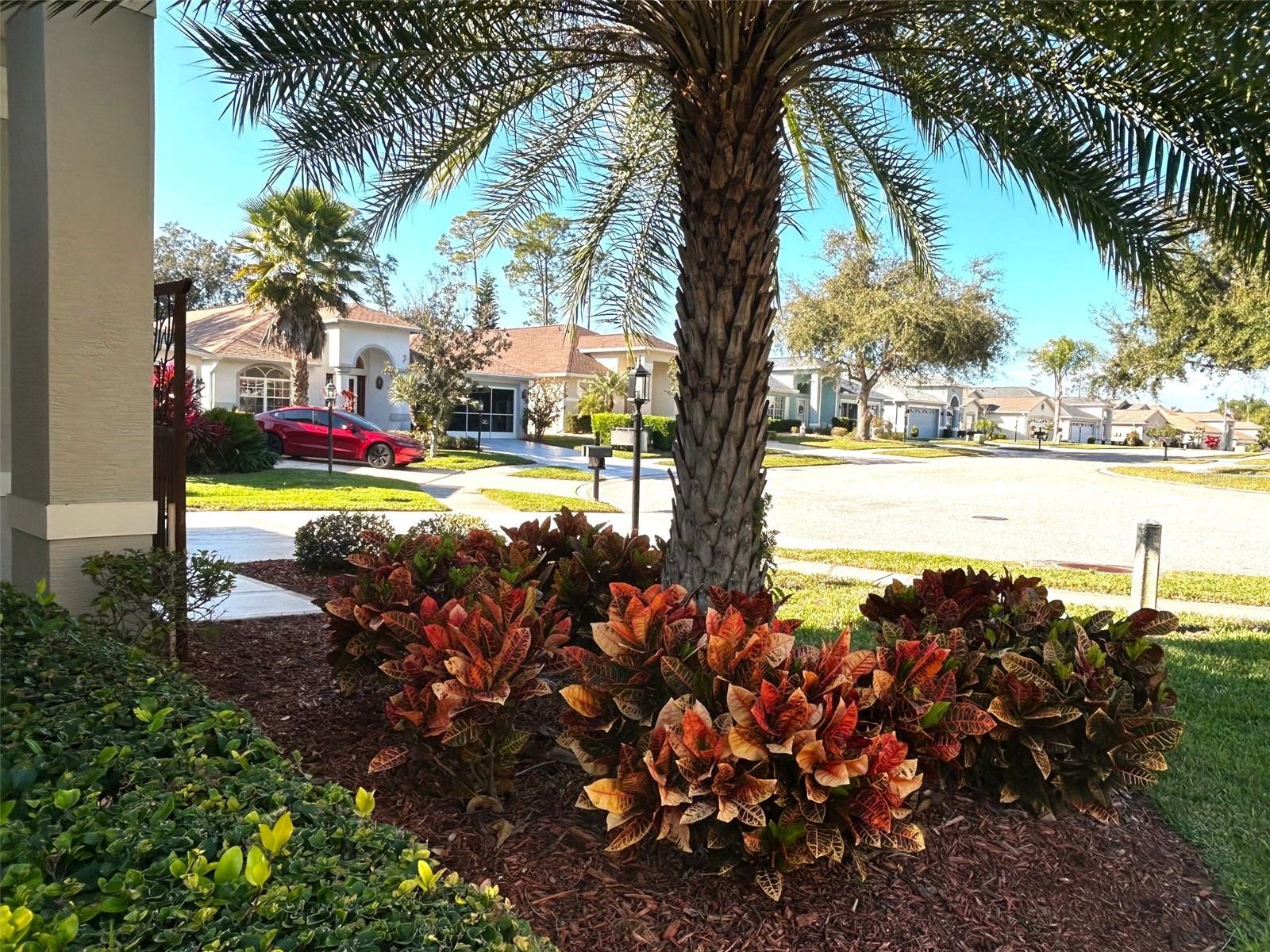 Image 5 of 54 For 18300 Rock Oak Court