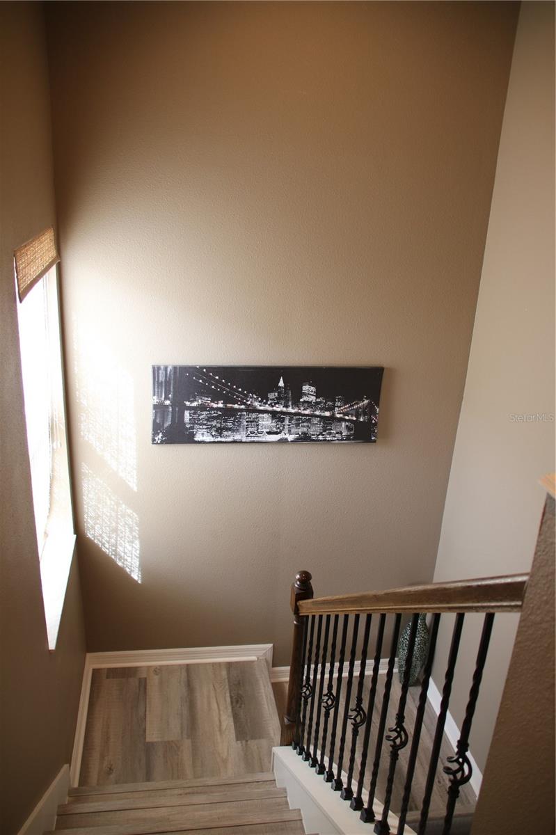 Image 26 of 32 For 971 Celtic Circle