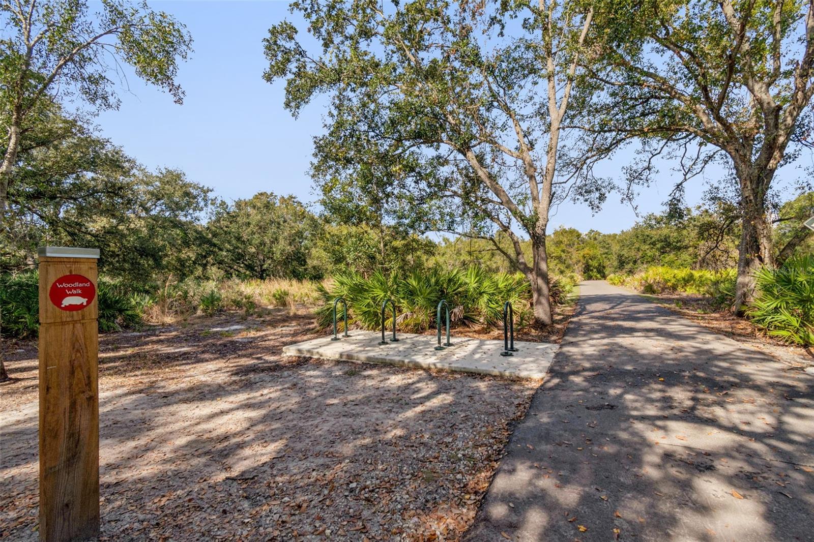 Image 54 of 57 For 6719 Dauphin Avenue