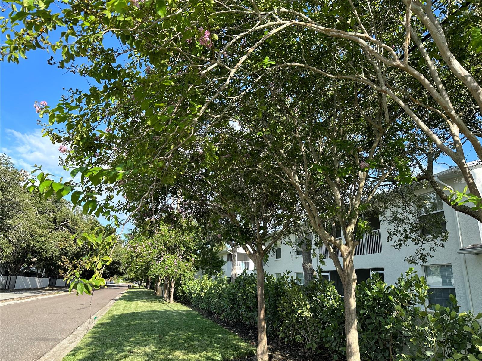 Image 30 of 30 For 3890 34th Avenue S 201