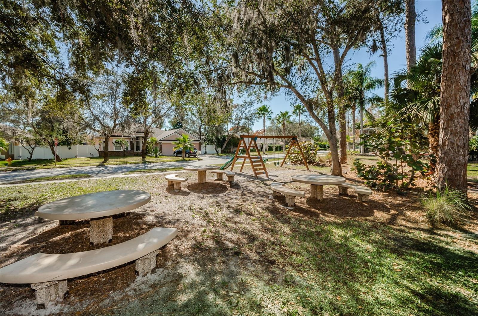 Image 44 of 49 For 443 Briland Street