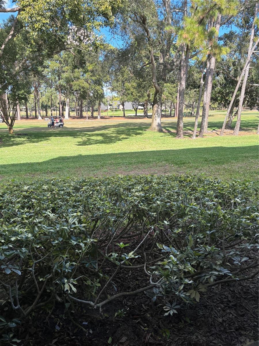 Image 2 of 4 For 36750 Us Highway 19 N 8-107