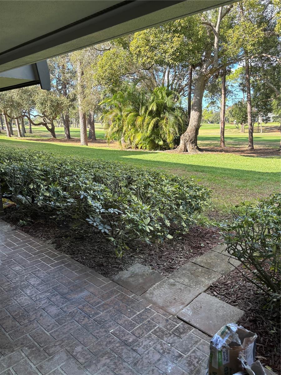 Image 4 of 4 For 36750 Us Highway 19 N 8-107