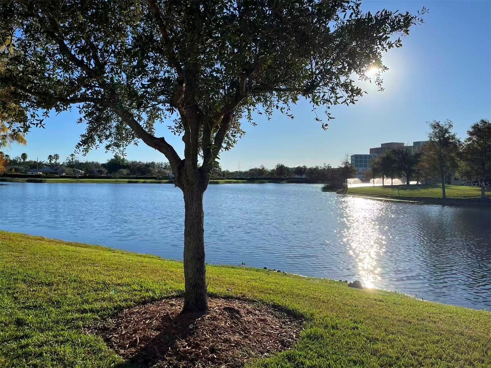 Image 35 of 44 For 16217 Via Solera Circle 101