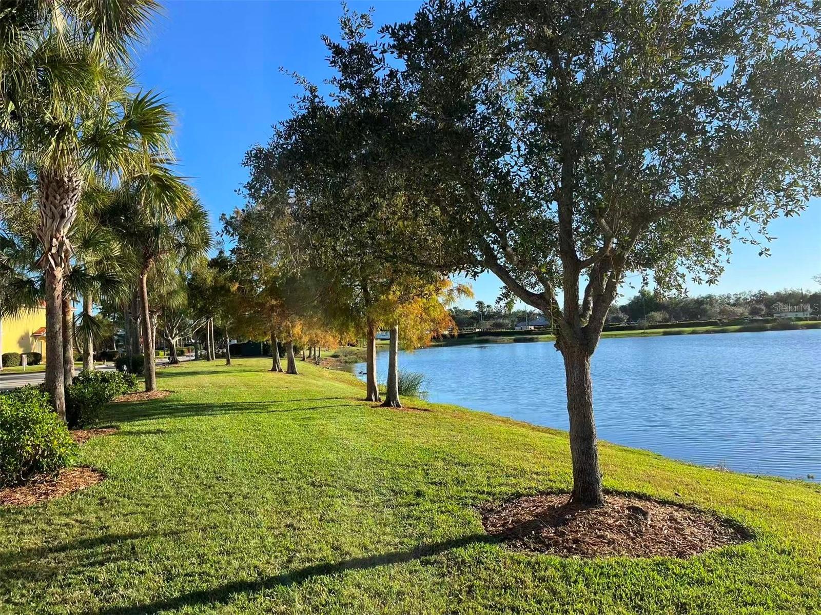 Image 41 of 44 For 16217 Via Solera Circle 101