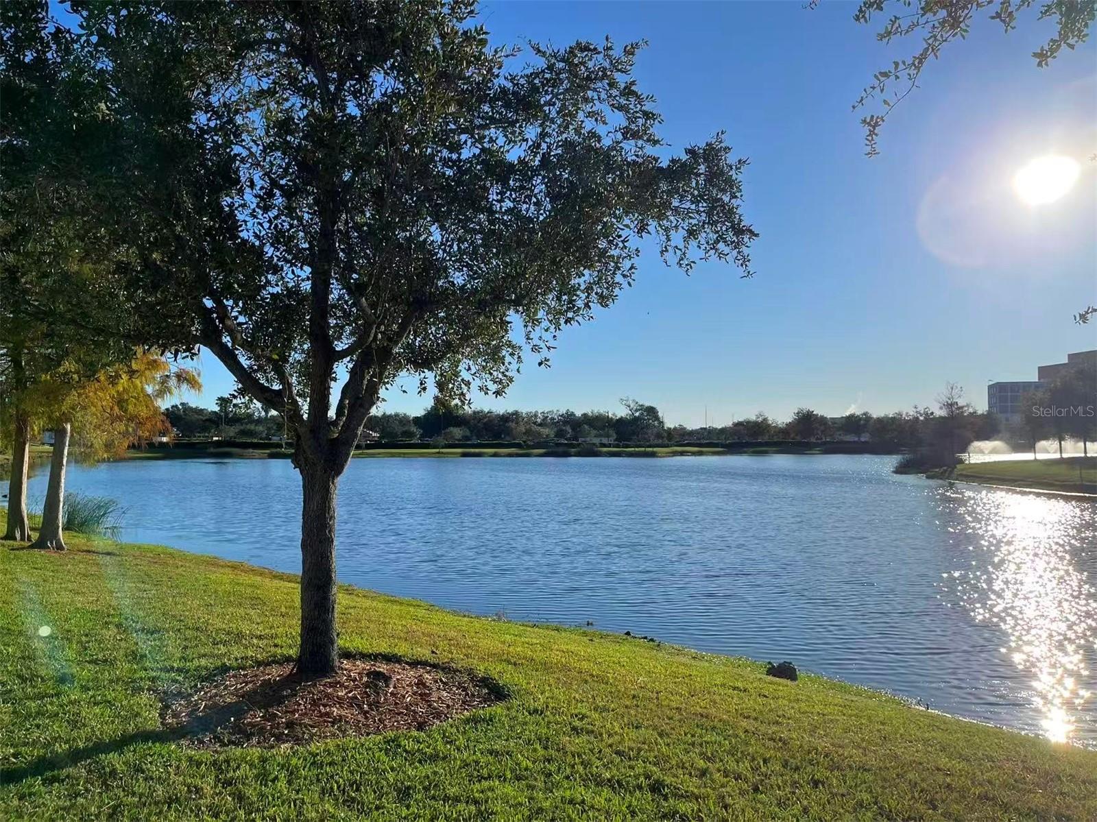 Image 42 of 44 For 16217 Via Solera Circle 101