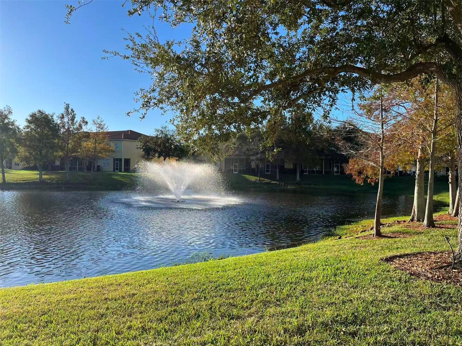 Image 43 of 44 For 16217 Via Solera Circle 101