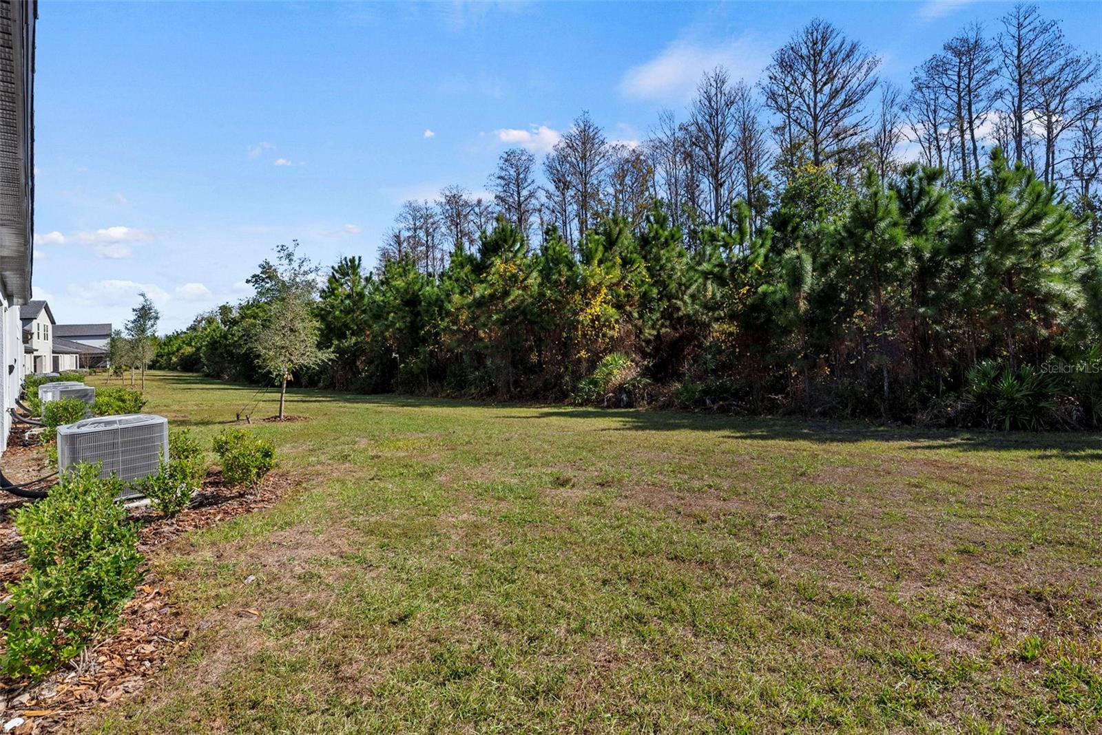 Image 35 of 42 For 16890 Forge Surf Street