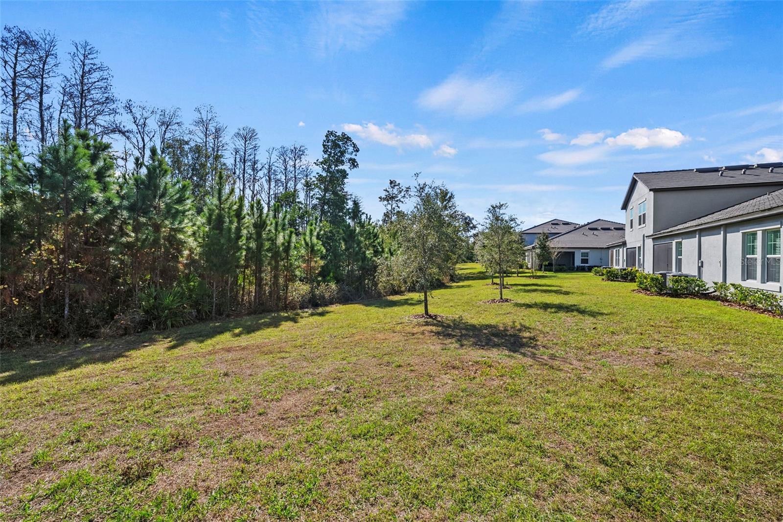 Image 36 of 42 For 16890 Forge Surf Street