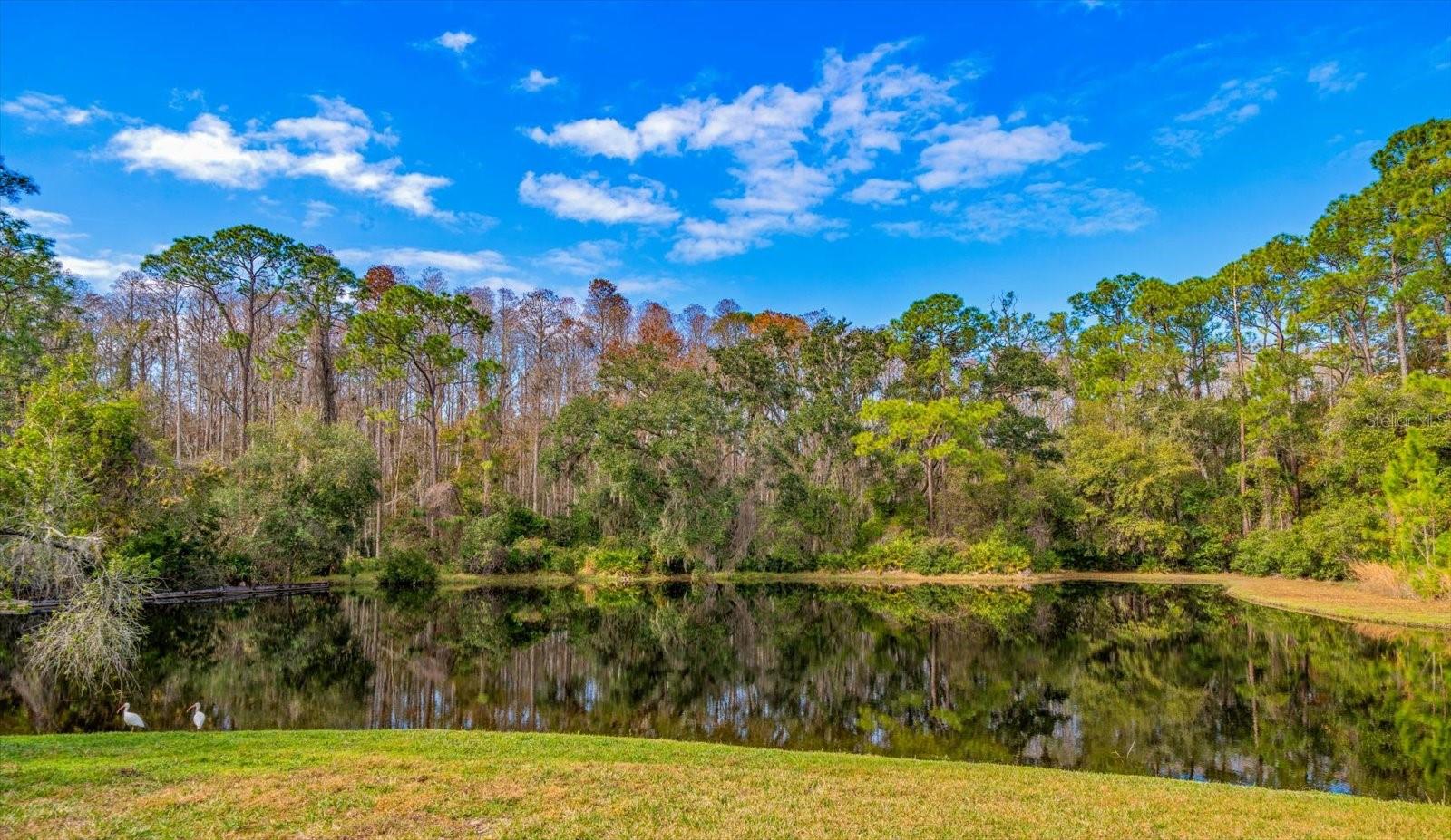 Listing photo id 3 for 5650 Bridgeton Court