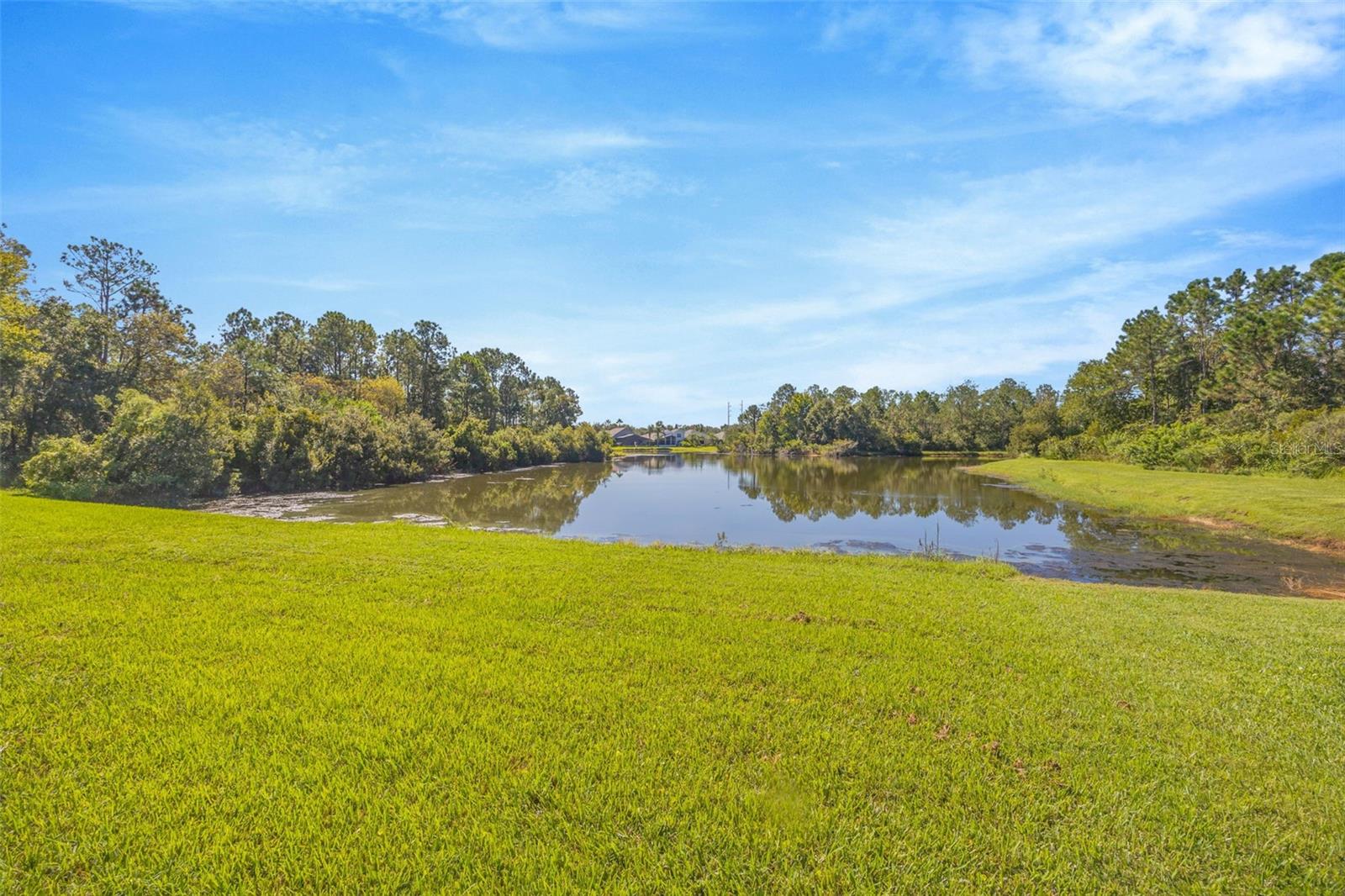 Image 29 of 31 For 16323 Bridgewalk Drive