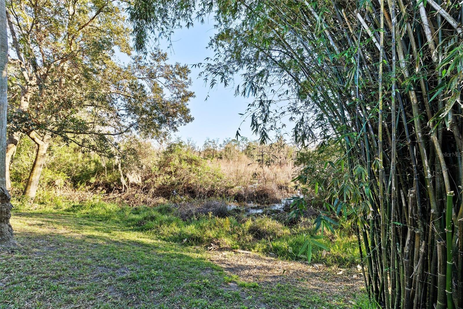 Image 55 of 60 For 23048 Preserve Court