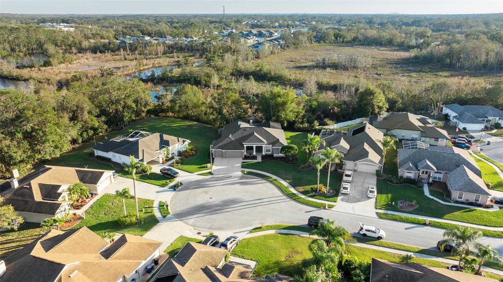 Image 60 of 60 For 23048 Preserve Court