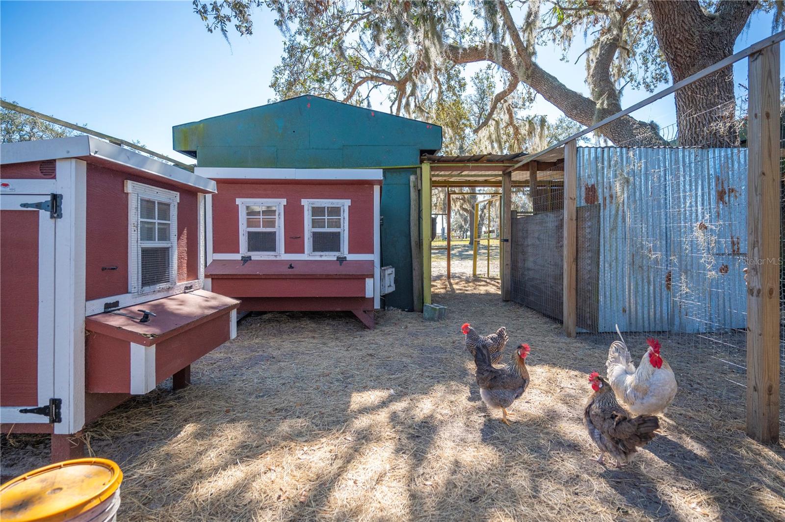 Image 62 of 73 For 4900 J Jackson Road