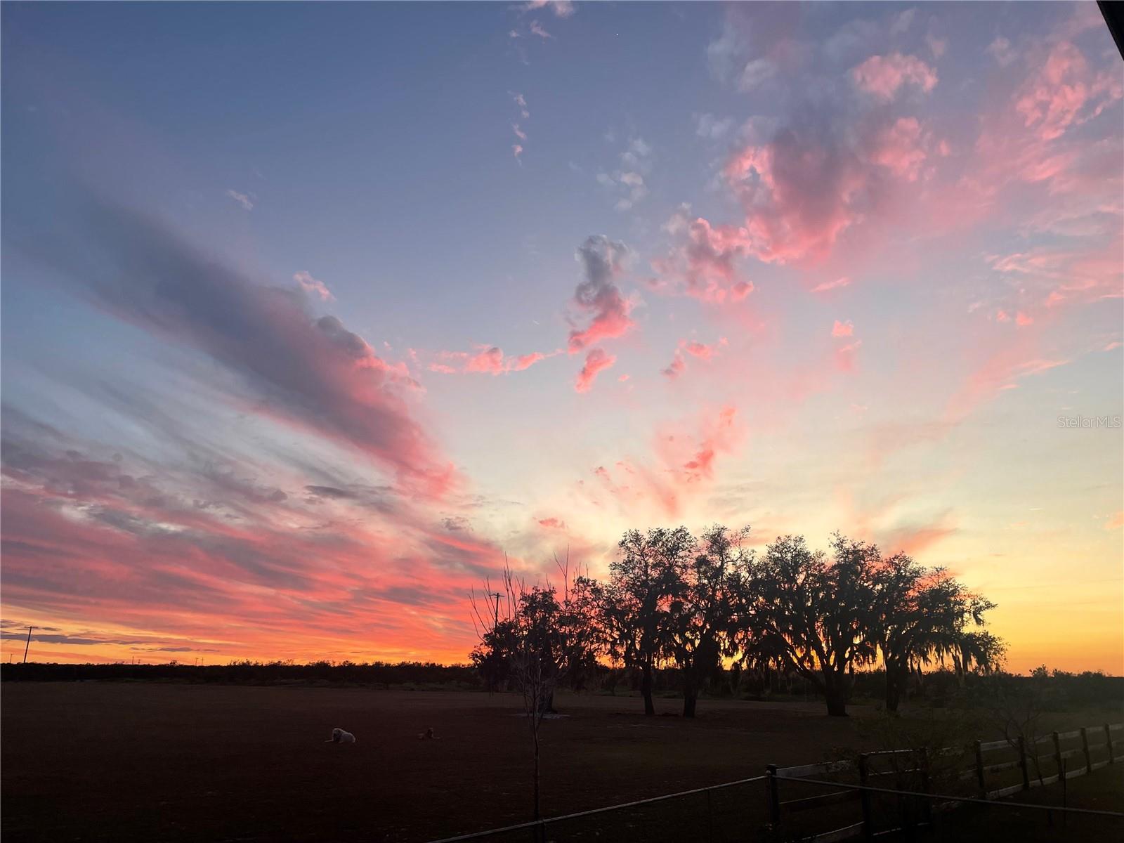 Image 73 of 73 For 4900 J Jackson Road