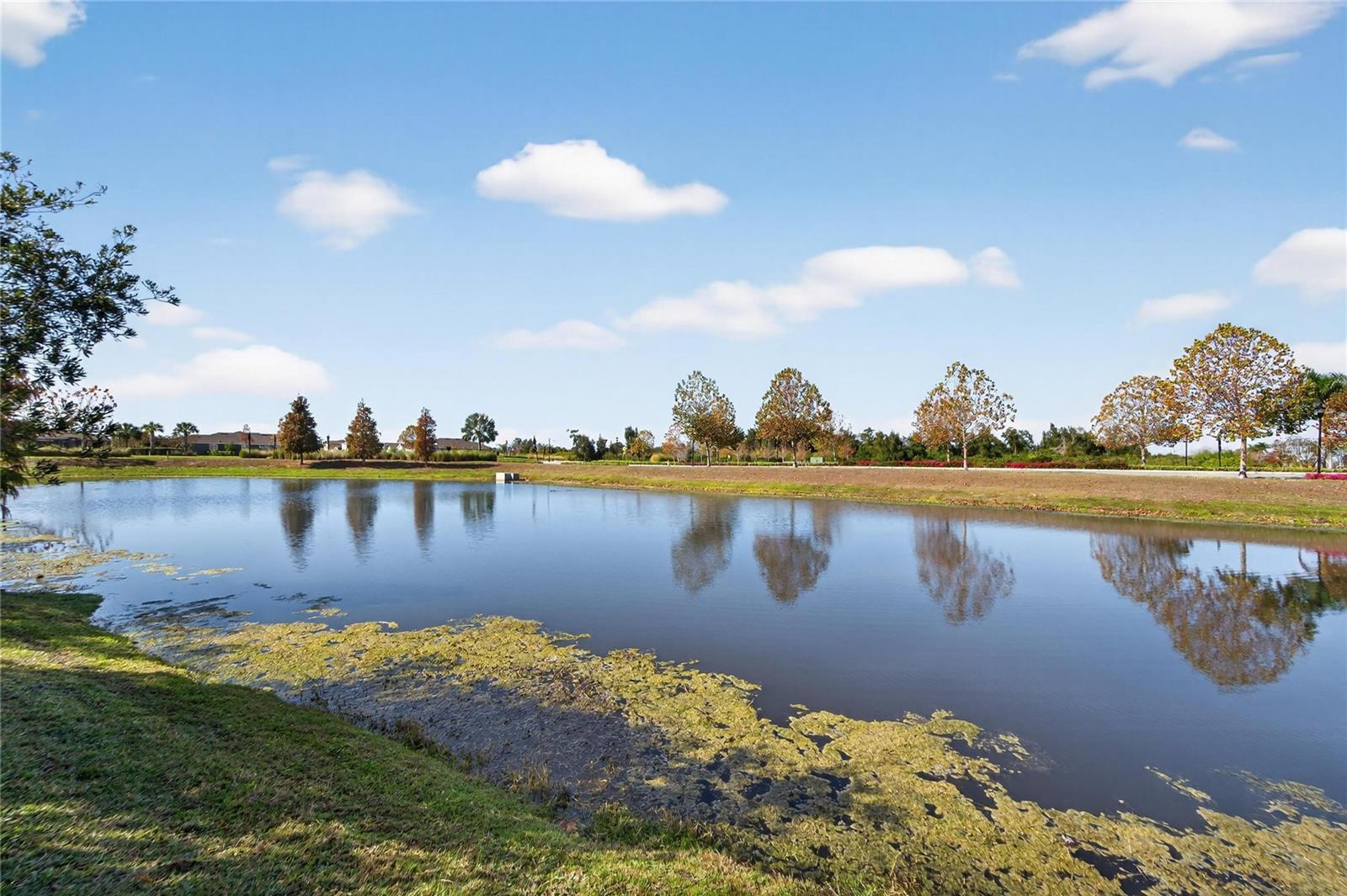 Image 52 of 99 For 6230 Camino Drive