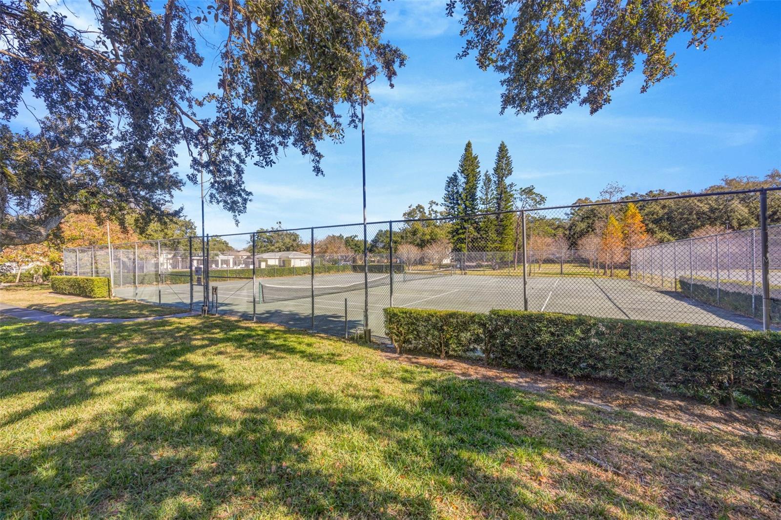 Image 39 of 41 For 11728 Raintree Drive