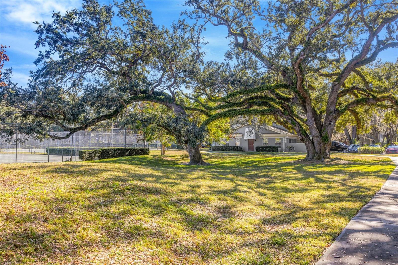 Image 41 of 41 For 11728 Raintree Drive