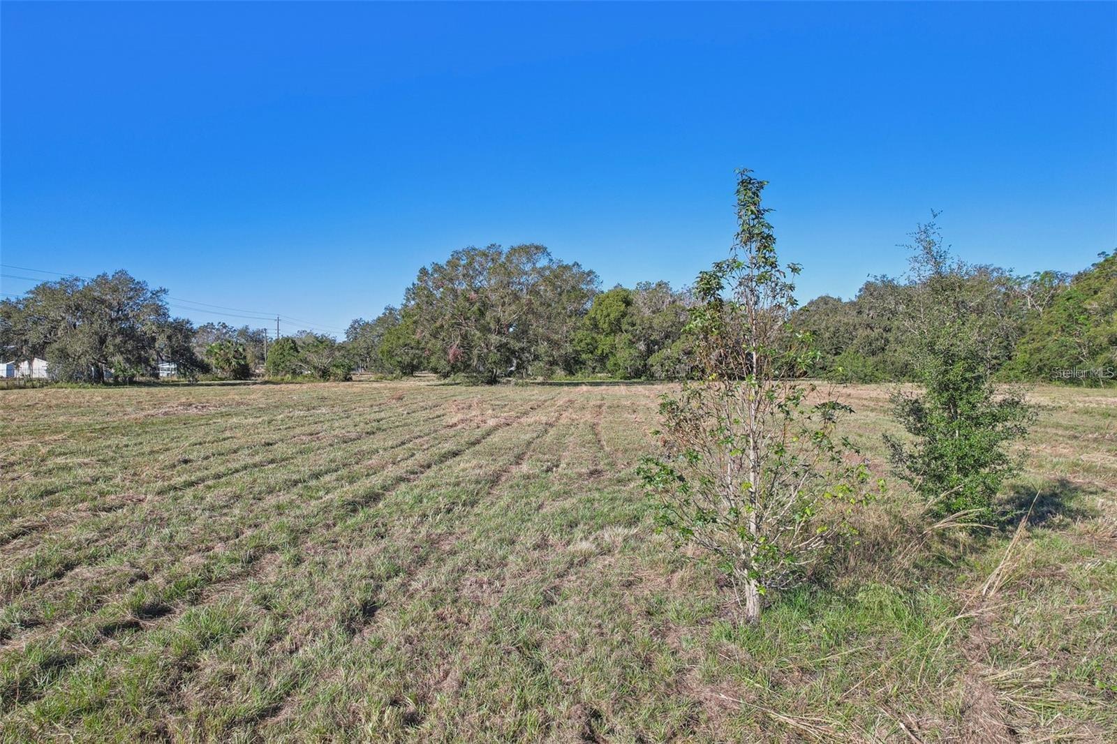 Image 8 of 18 For 4610 County Road 542