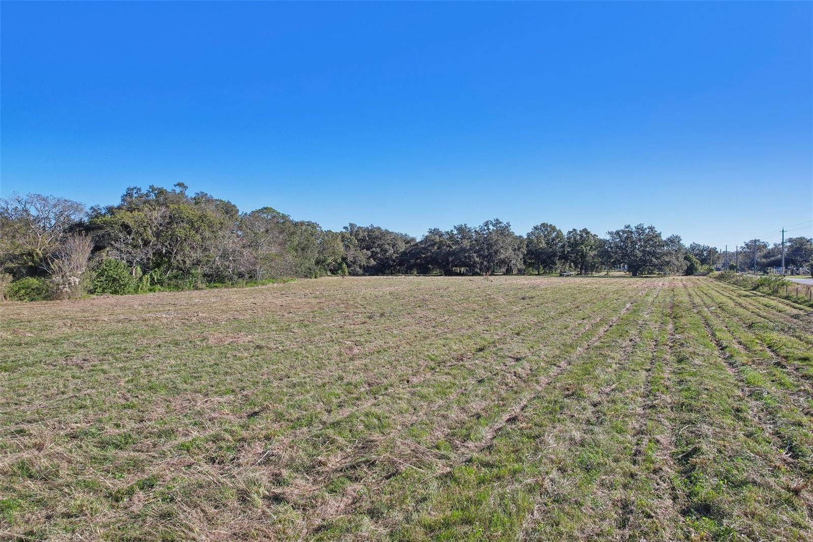 Image 5 of 14 For 00 Cr-542  