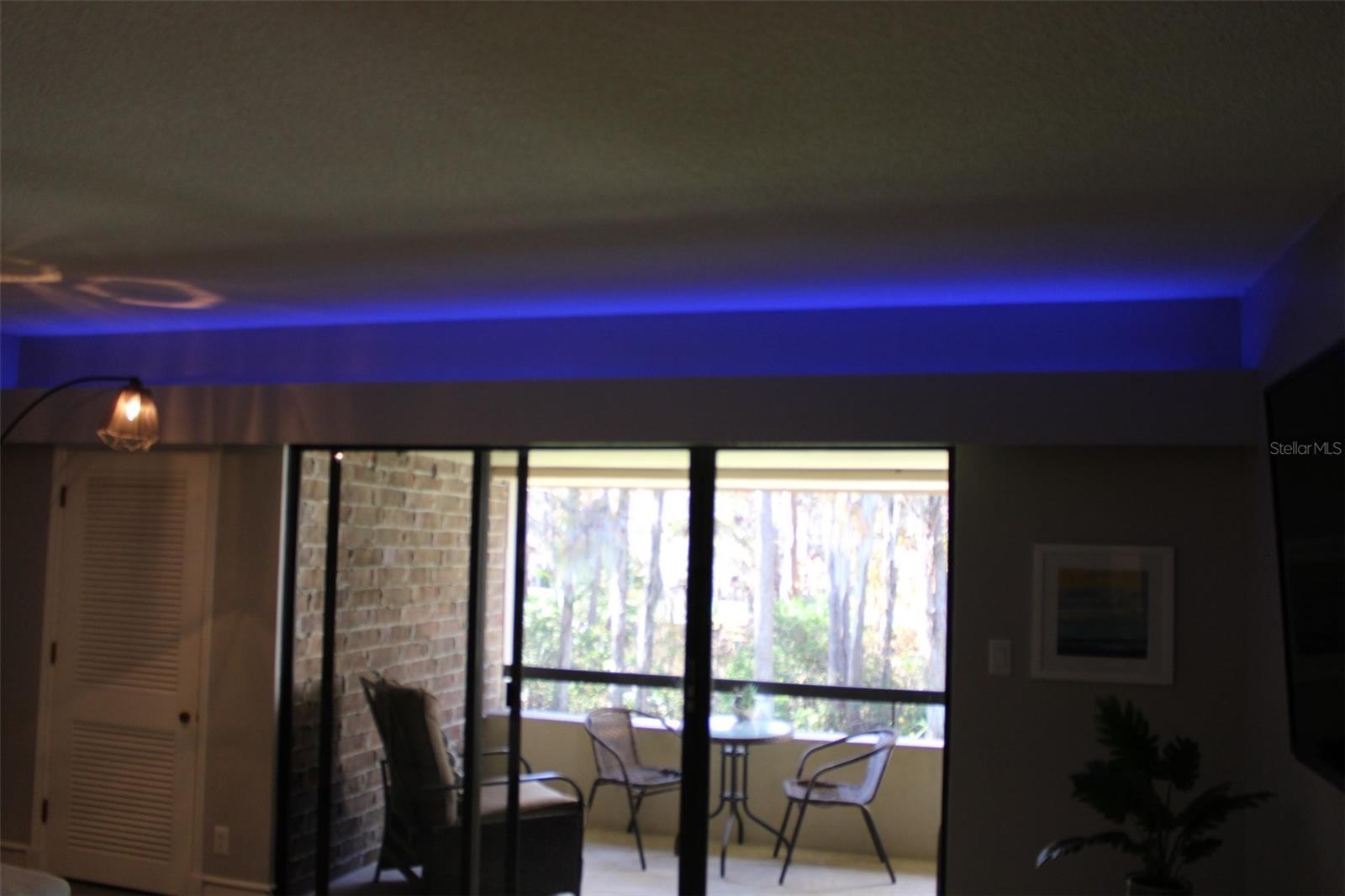 Image 33 of 53 For 36750 Us Highway 19 N 3-203