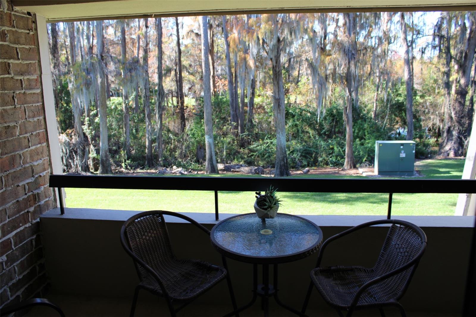 Image 38 of 53 For 36750 Us Highway 19 N 3-203