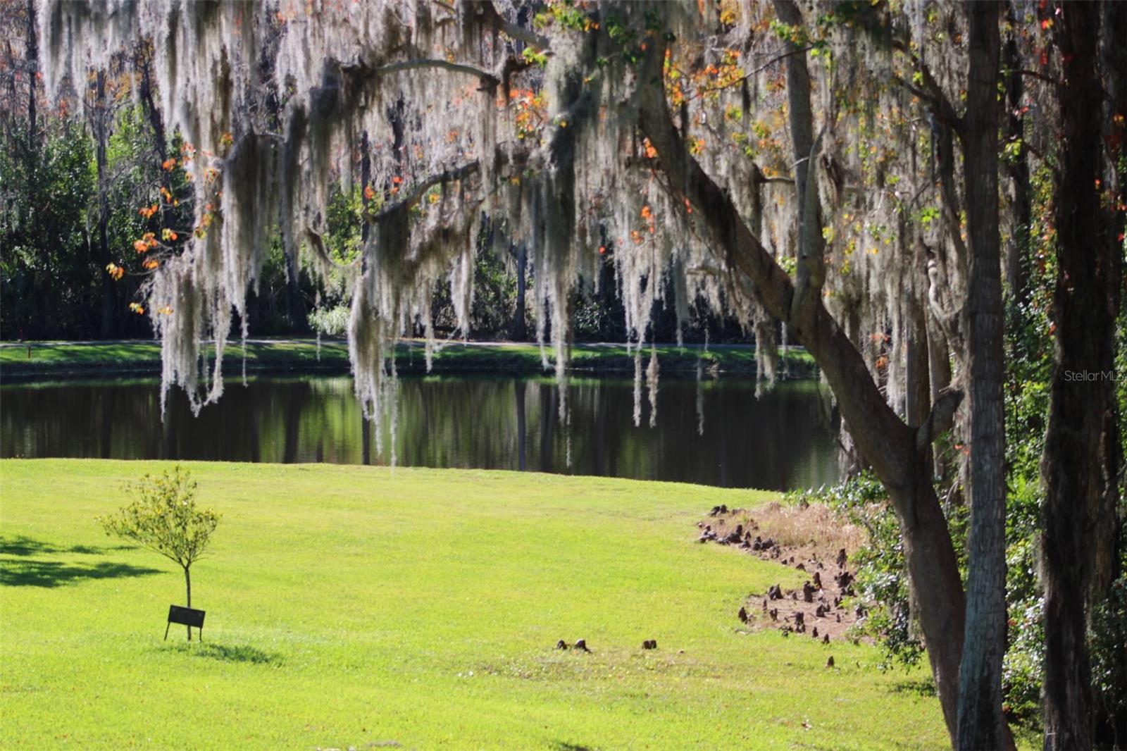 Image 41 of 53 For 36750 Us Highway 19 N 3-203