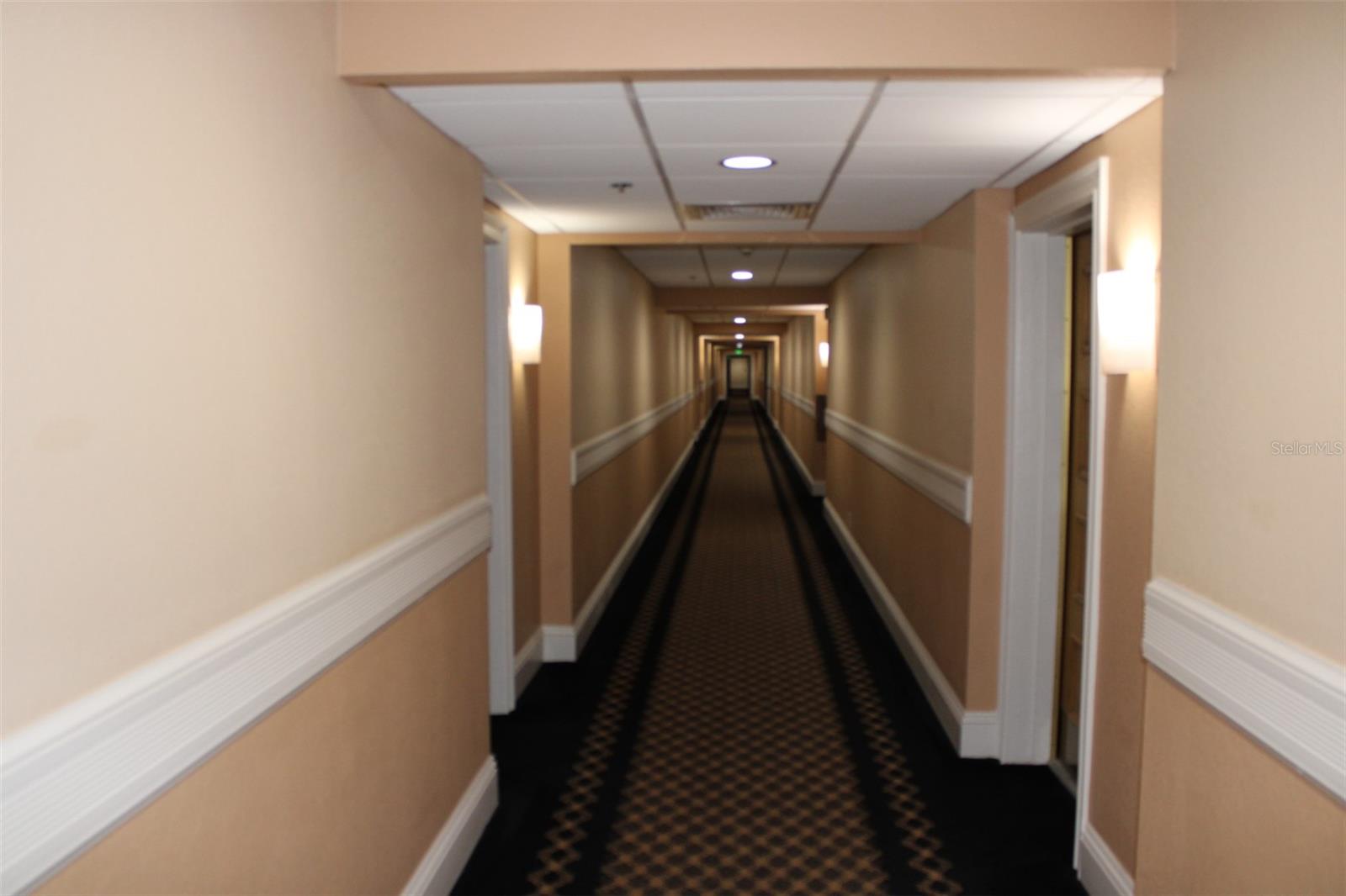 Image 42 of 53 For 36750 Us Highway 19 N 3-203