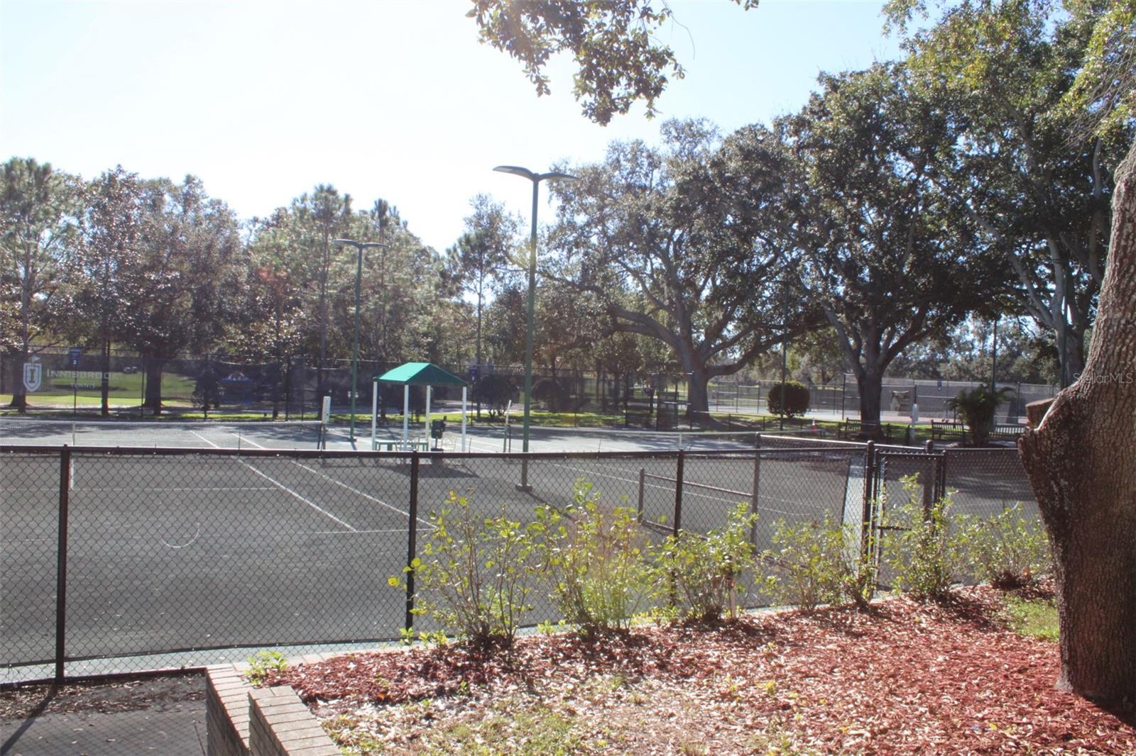 Image 47 of 53 For 36750 Us Highway 19 N 3-203