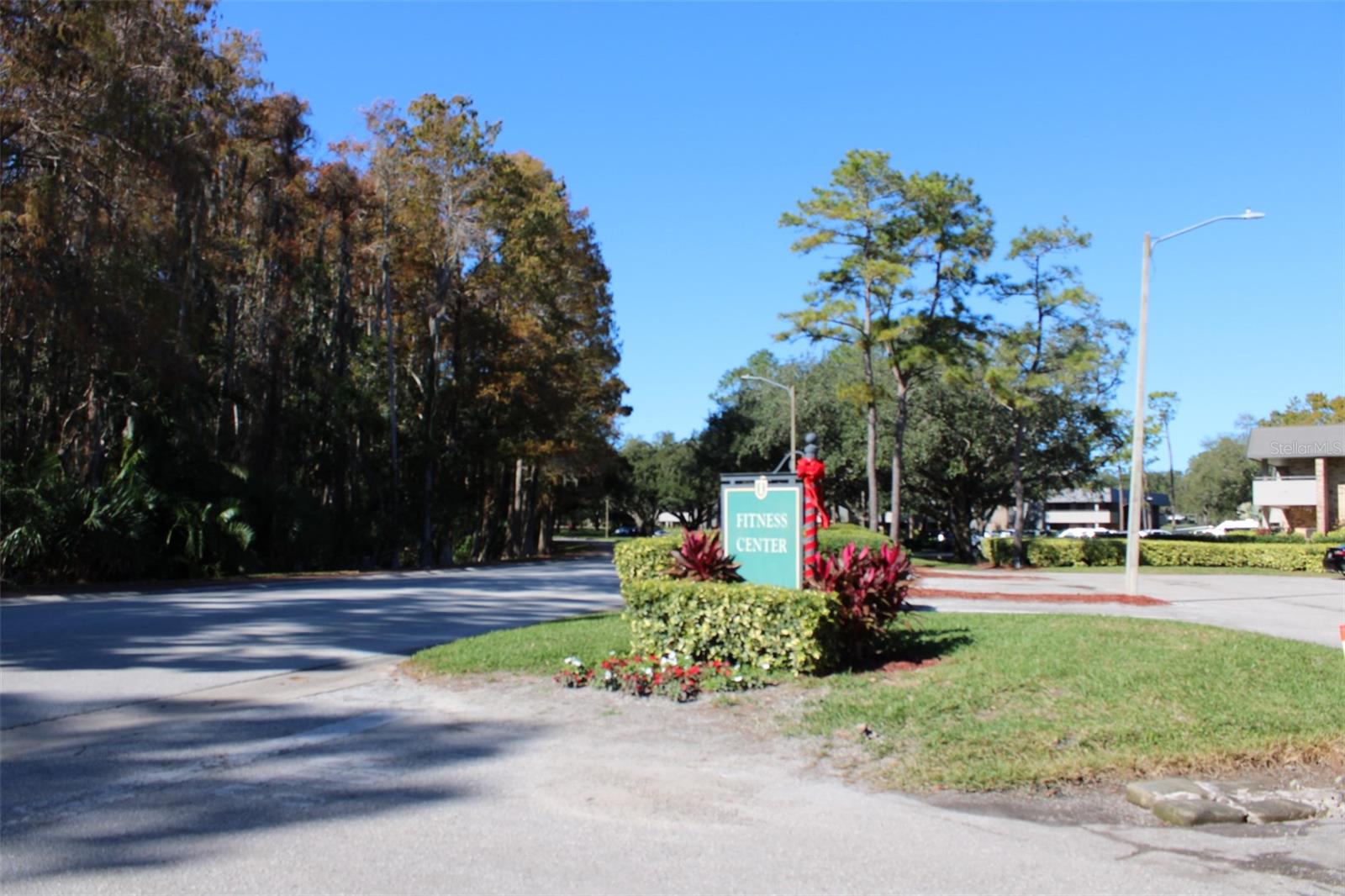 Image 51 of 53 For 36750 Us Highway 19 N 3-203