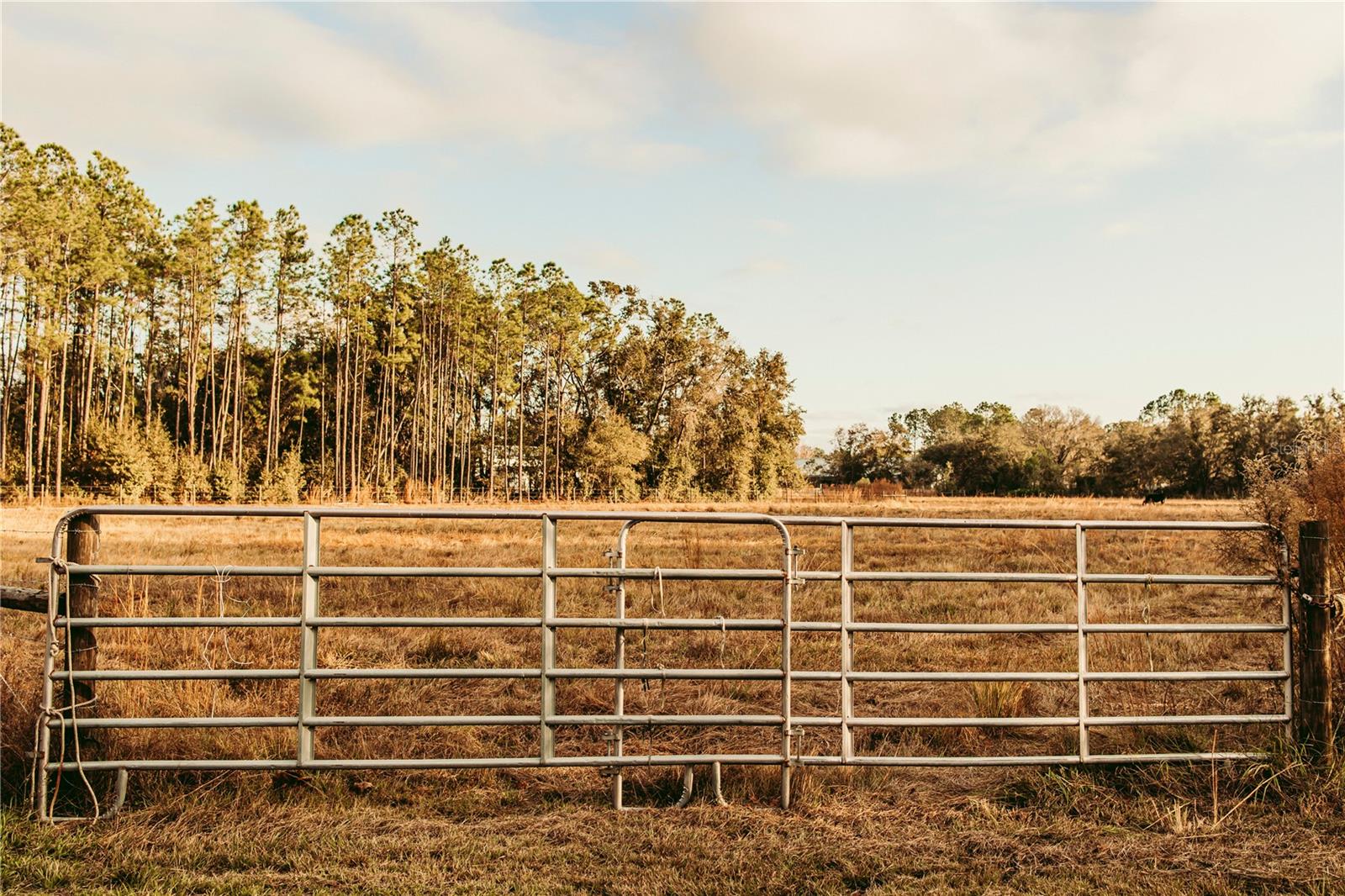 Details for 5812 Dormany Road, PLANT CITY, FL 33565