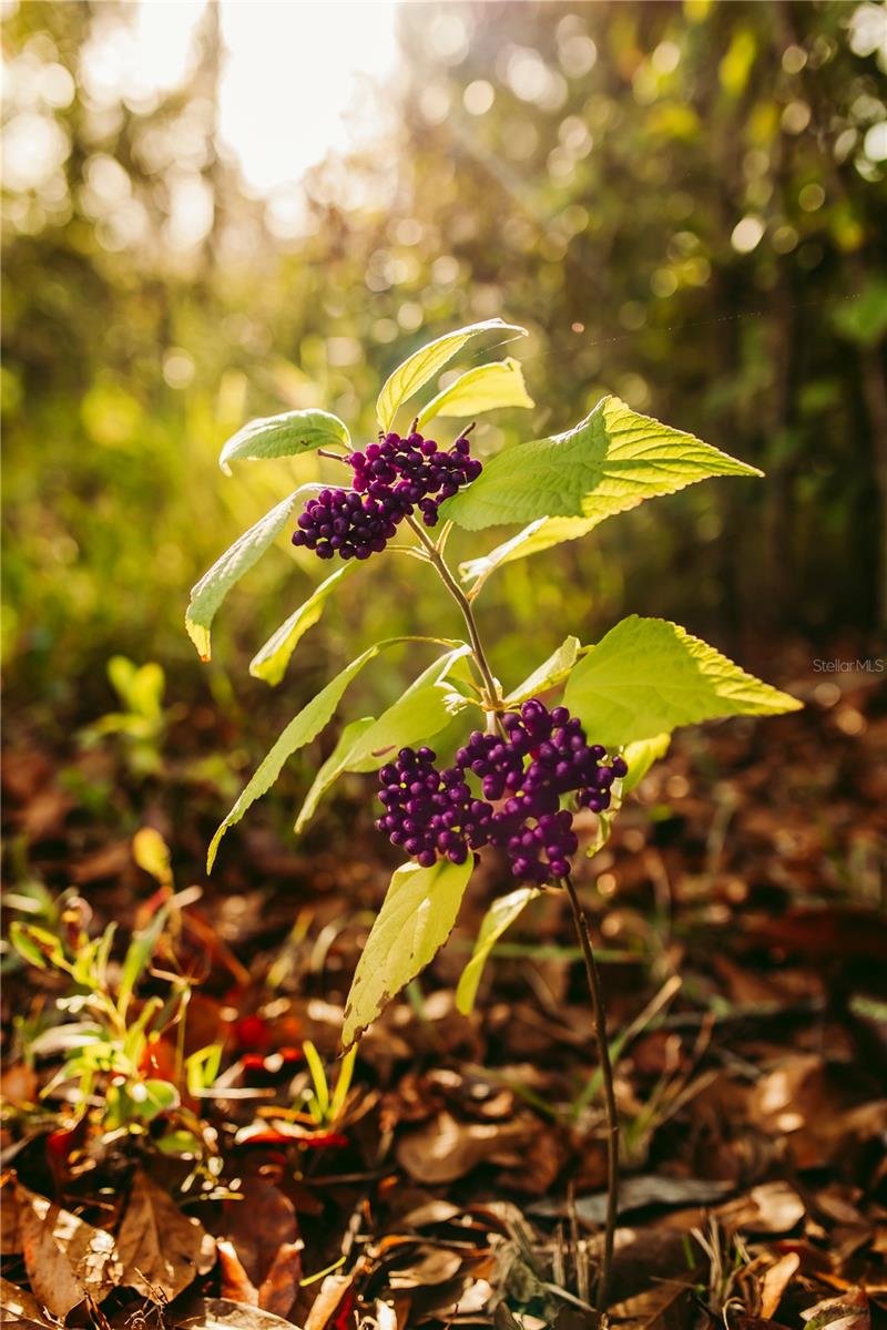 Image 2 of 6 For 5812 Dormany Road